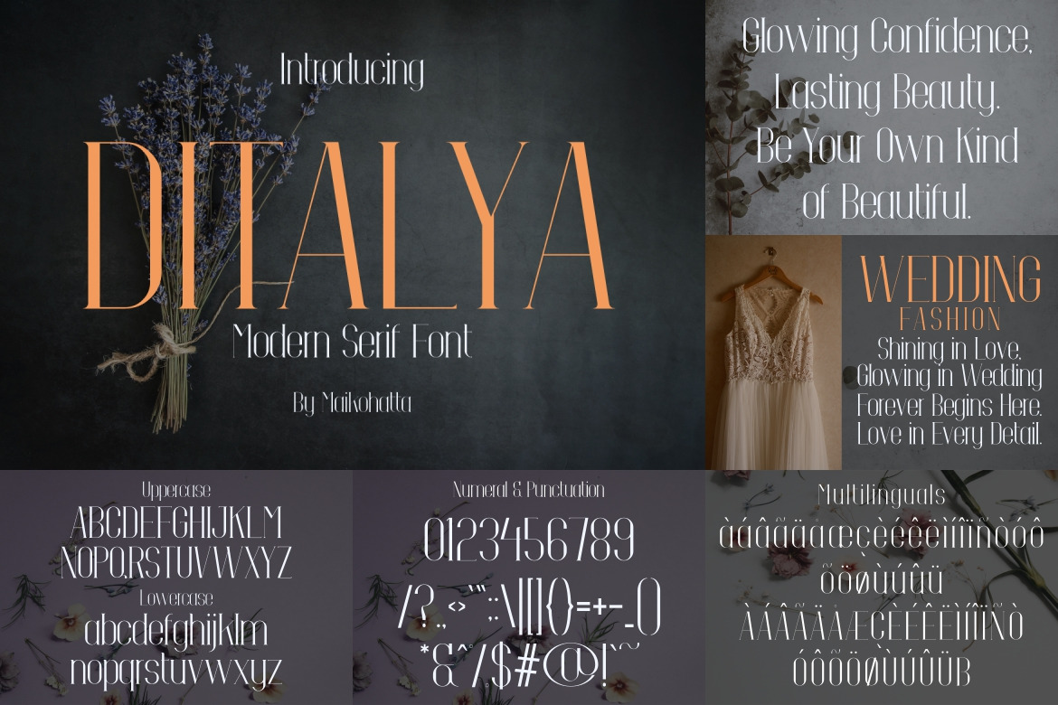 Modern Serif Font Bundle