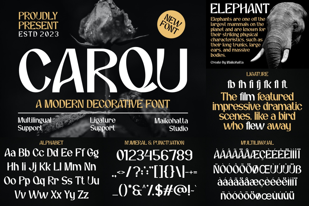 Modern Decorative Psychedelic Font Bundle Modern Decorative Psychedelic Font Bundle