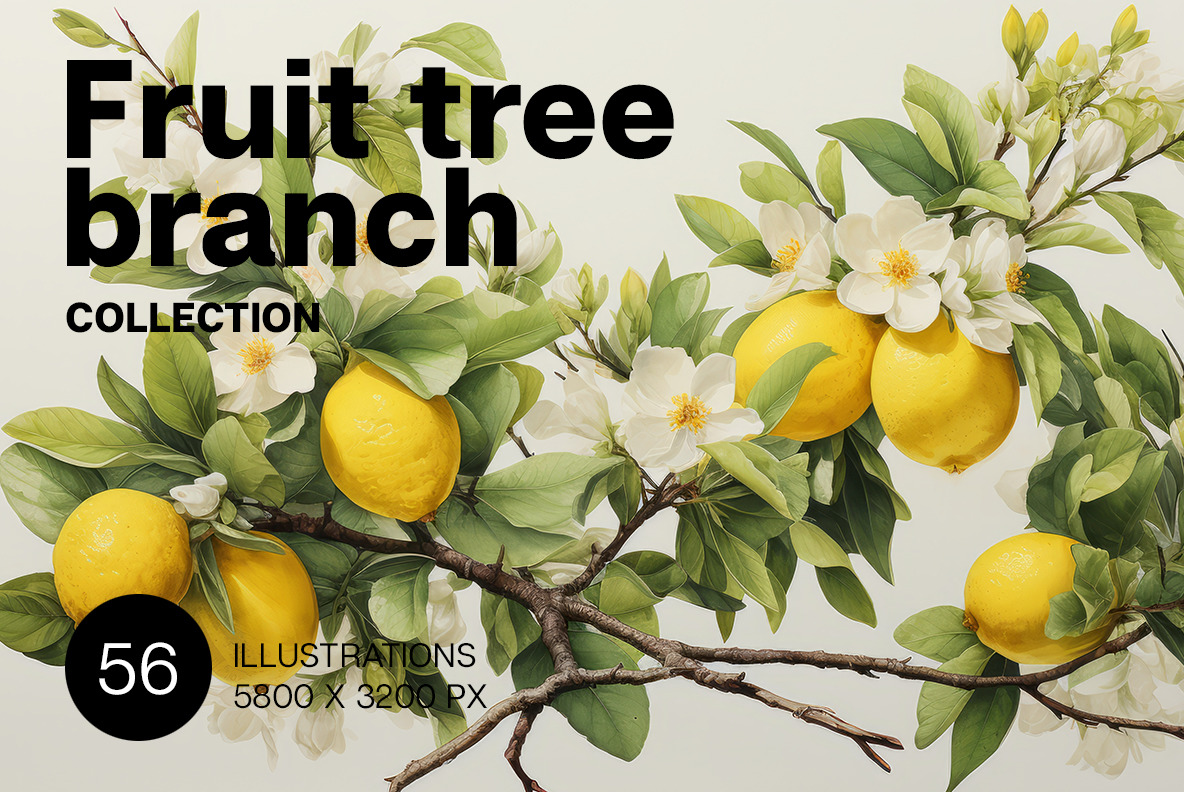 Fruit tree branch Fruit tree branch