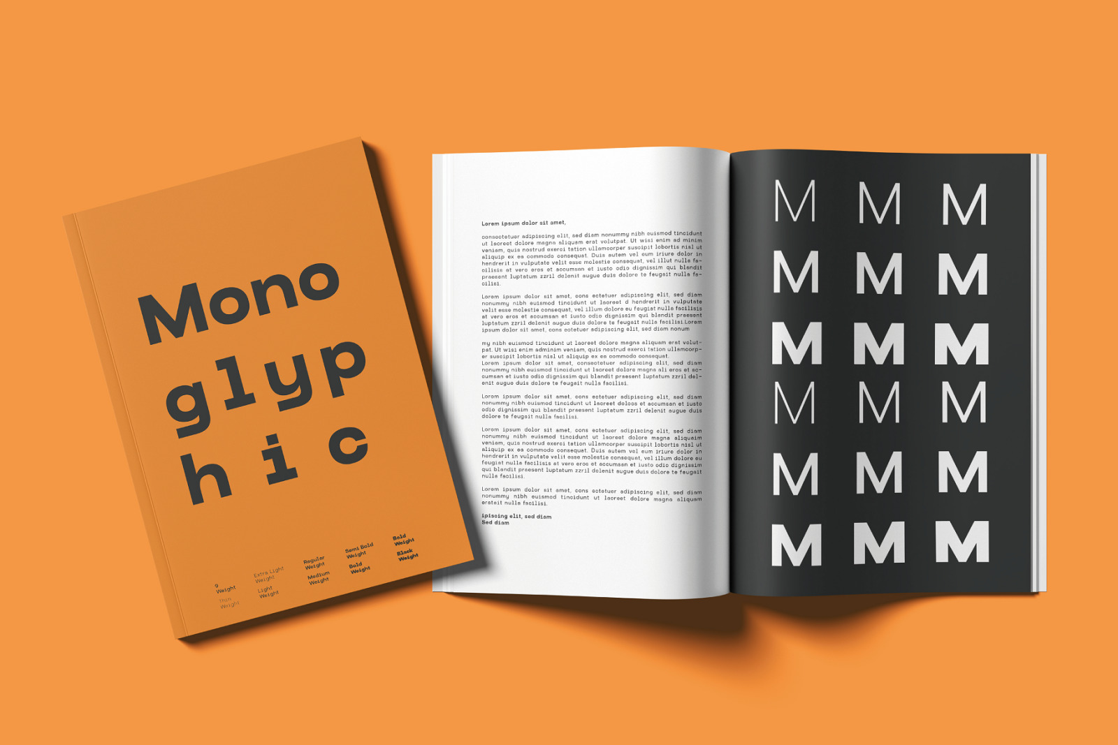 Monoglyphic - Clean Monospace Font Monoglyphic - Clean Monospace Font