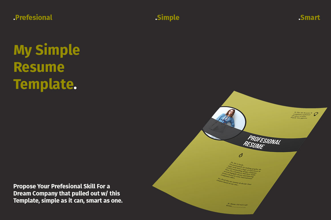 Profesional Resume Template Profesional Resume Template