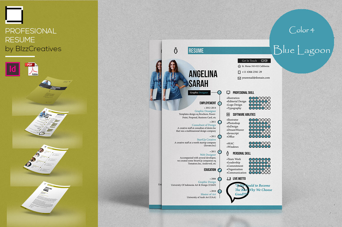 Profesional Resume Template Profesional Resume Template