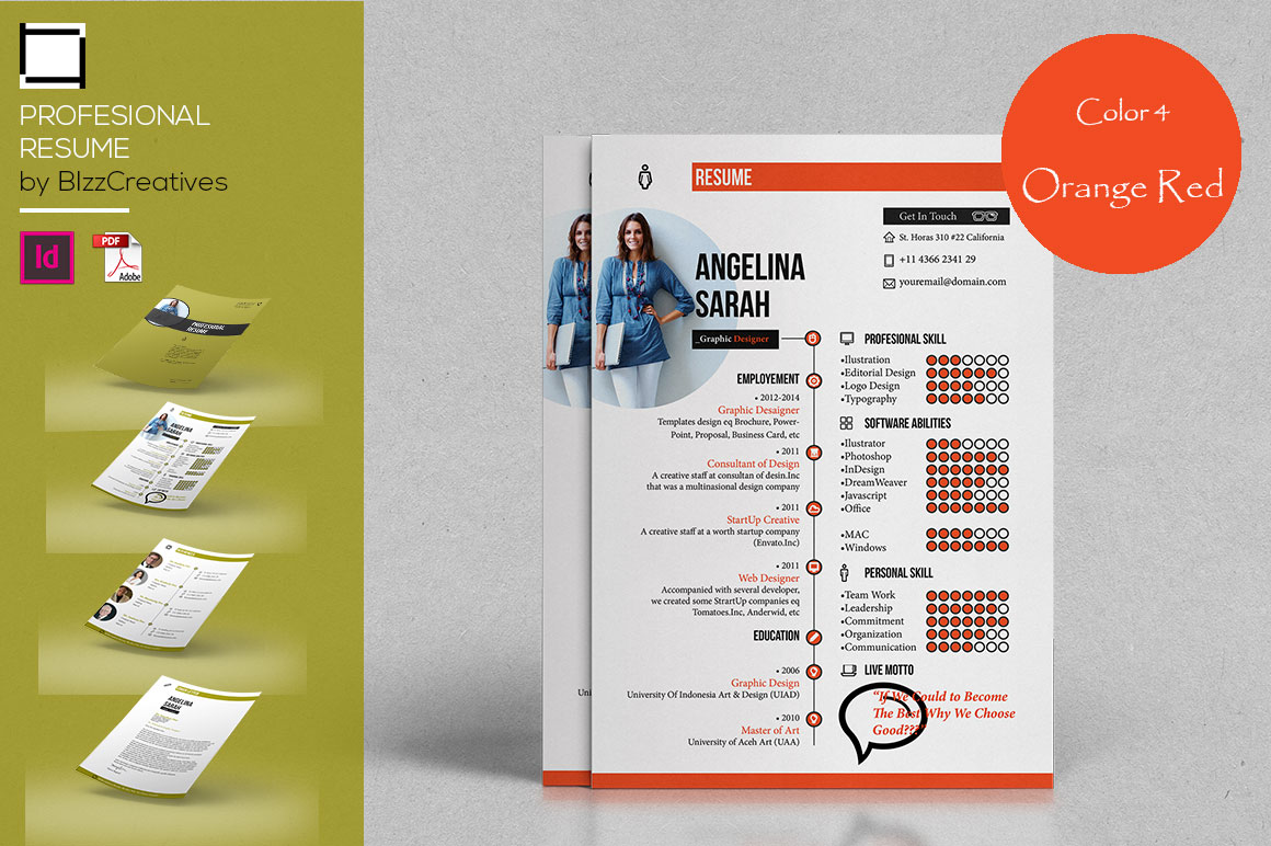 Profesional Resume Template Profesional Resume Template