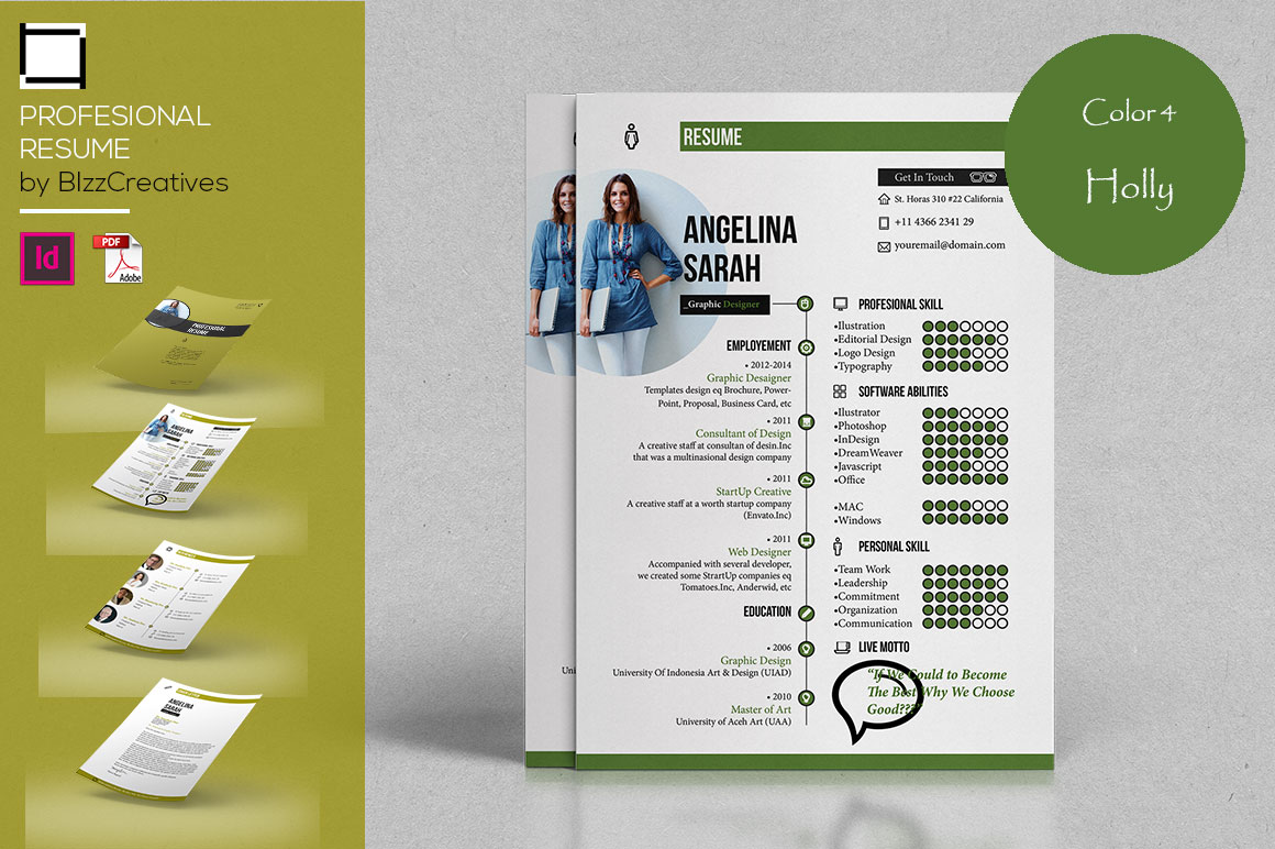Profesional Resume Template Profesional Resume Template