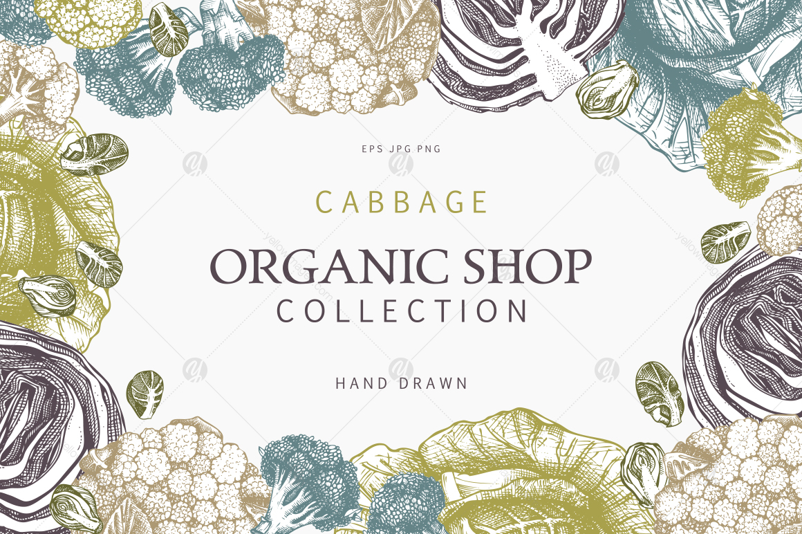 Vintage Cabbage Design Vintage Cabbage Design
