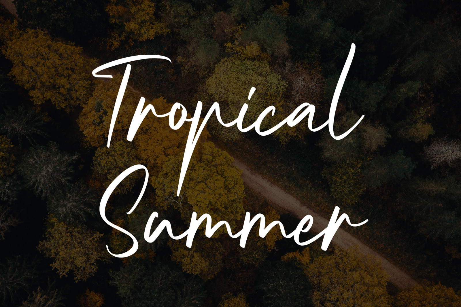 Nightlife Font