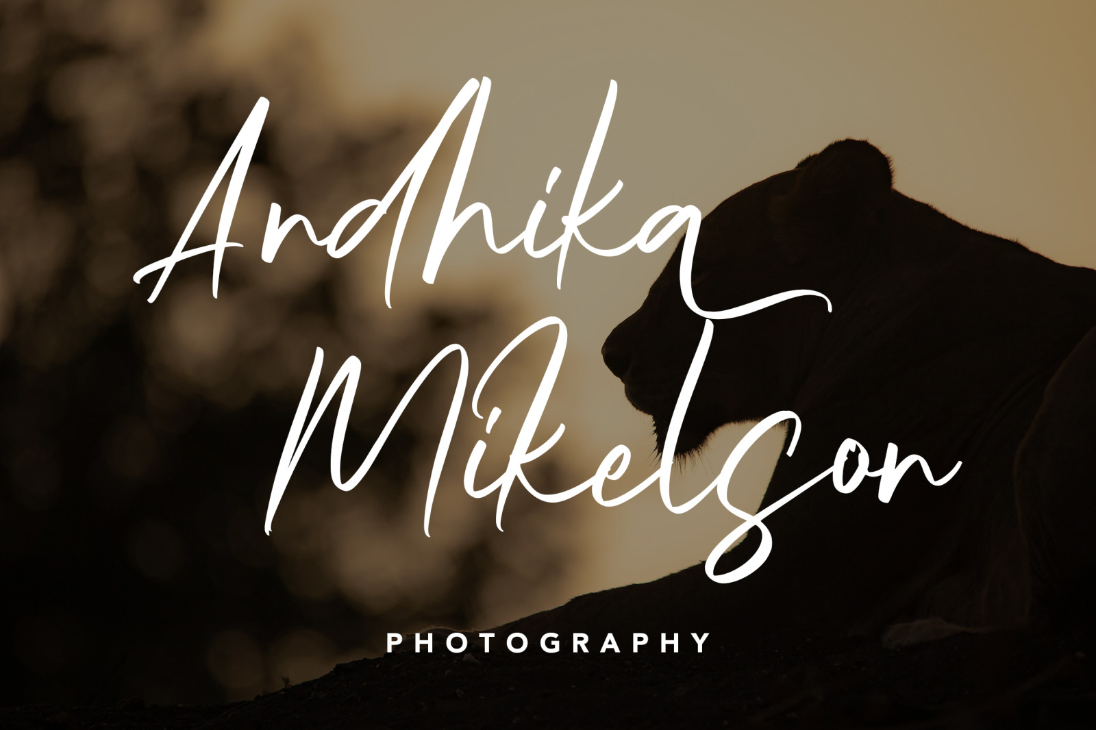 Nightlife Font