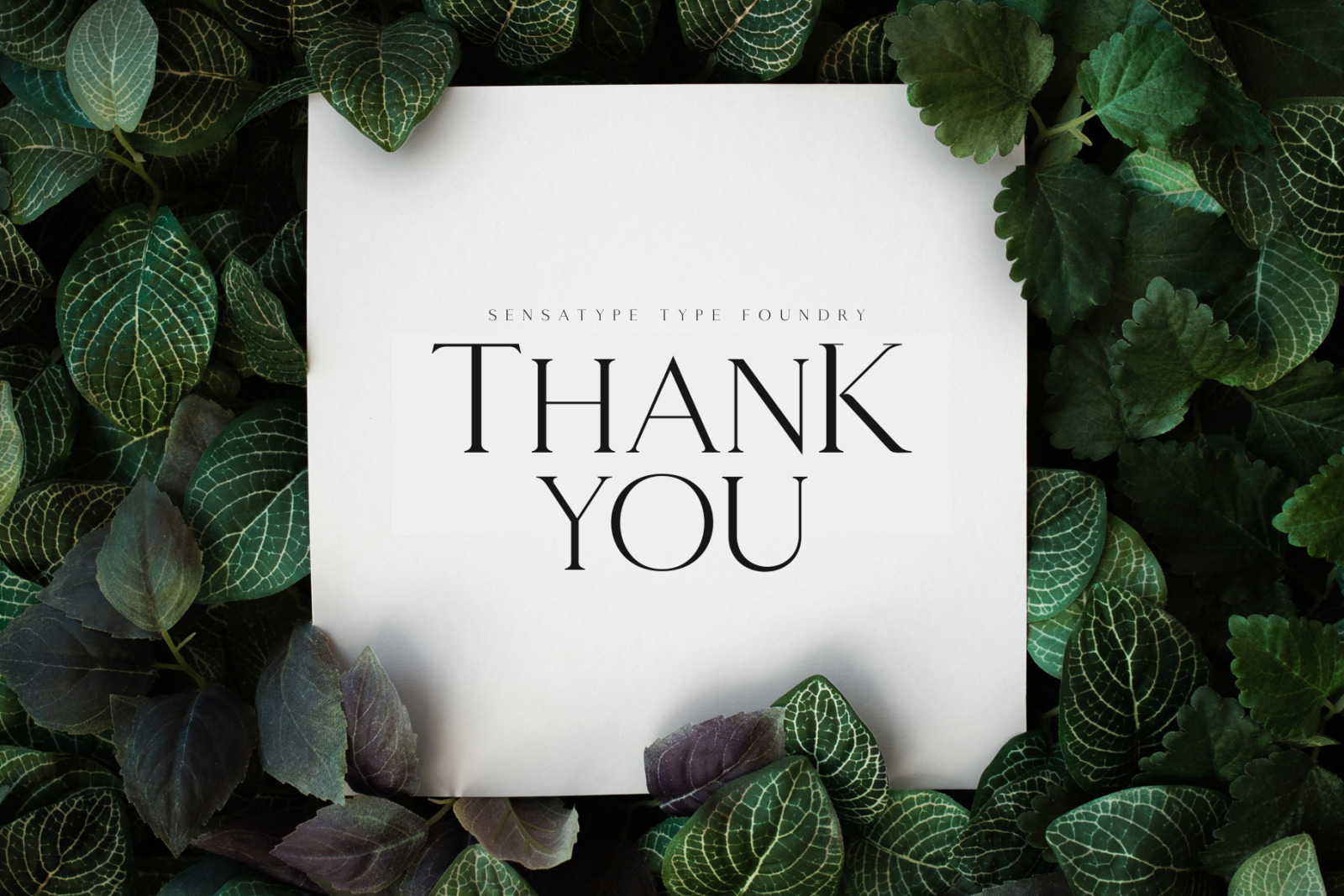 Giveaway - Classy Serif Font Giveaway - Classy Serif Font