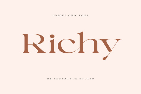 Richy - Unique Chic Font - Stylish typeface