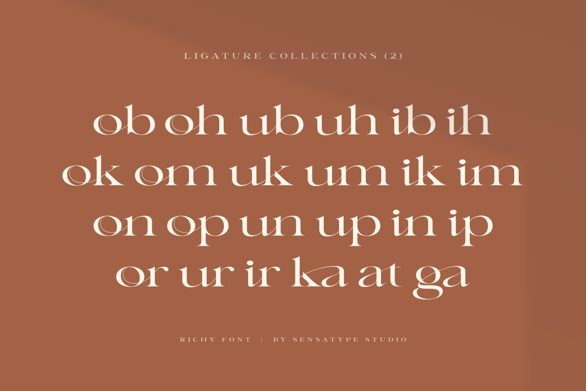 Richy - Unique Chic Font Richy - Unique Chic Font