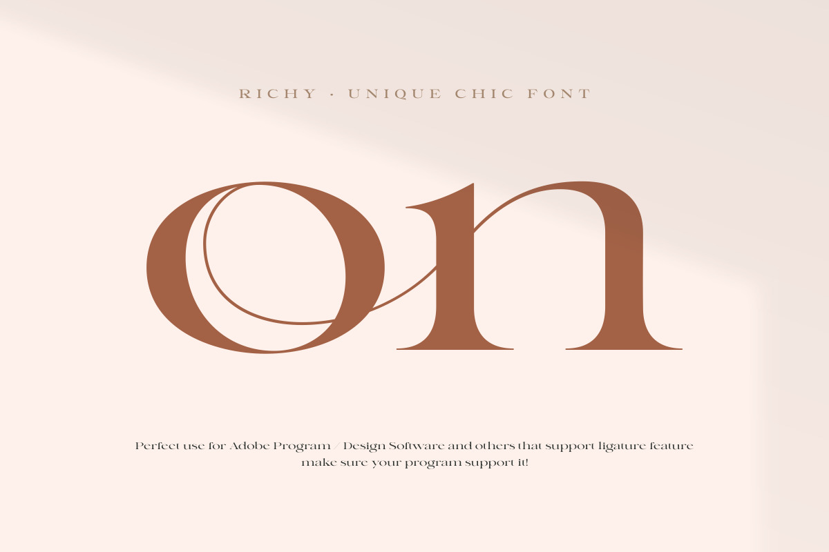 Richy - Unique Chic Font Richy - Unique Chic Font