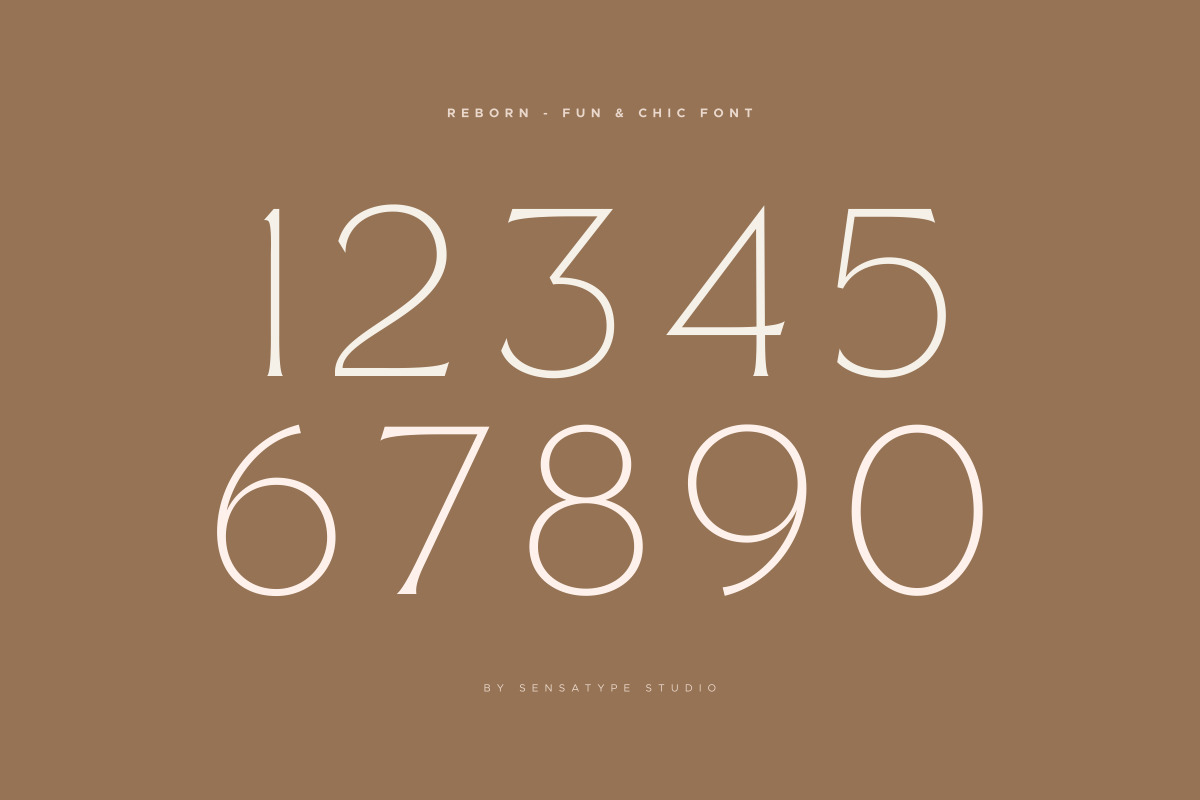 Reborn - Modern Chic Font Reborn - Modern Chic Font