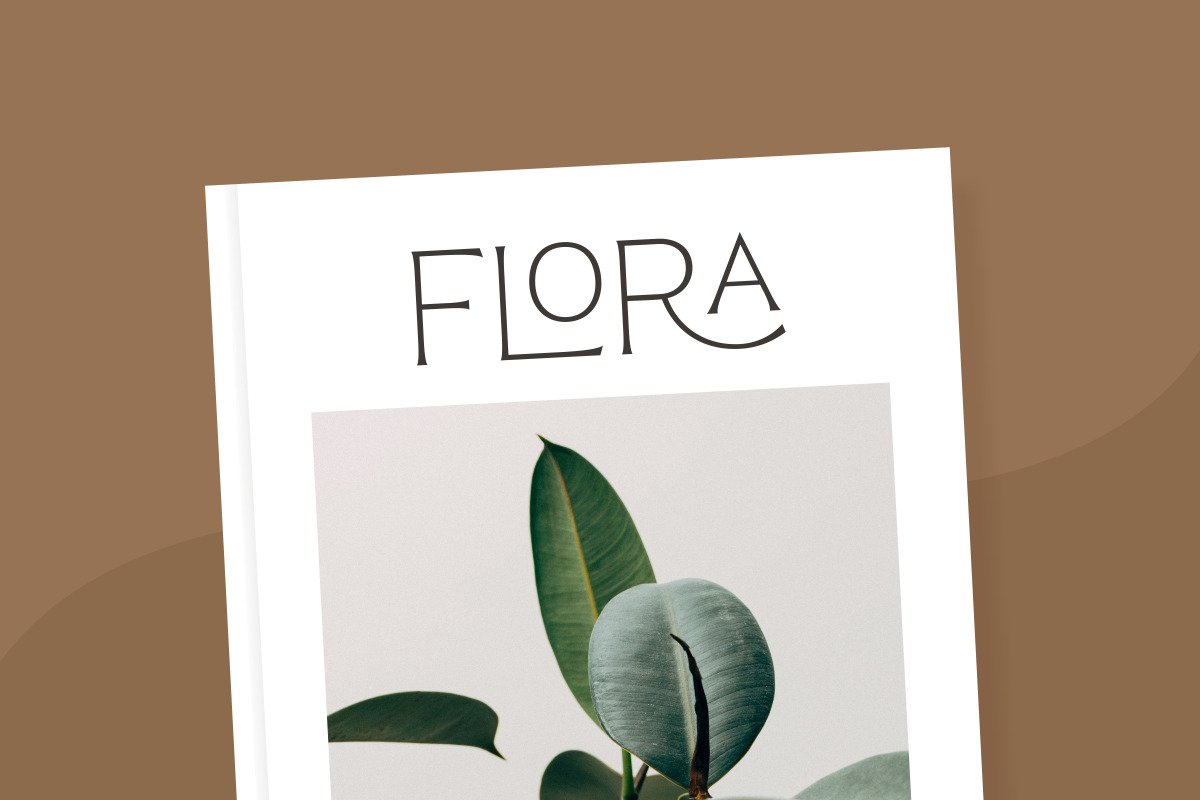 Reborn - Modern Chic Font Reborn - Modern Chic Font