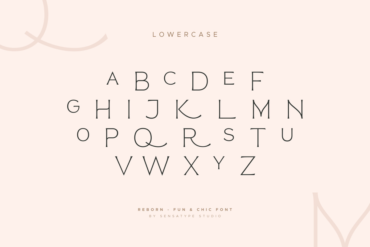 Reborn - Modern Chic Font Reborn - Modern Chic Font