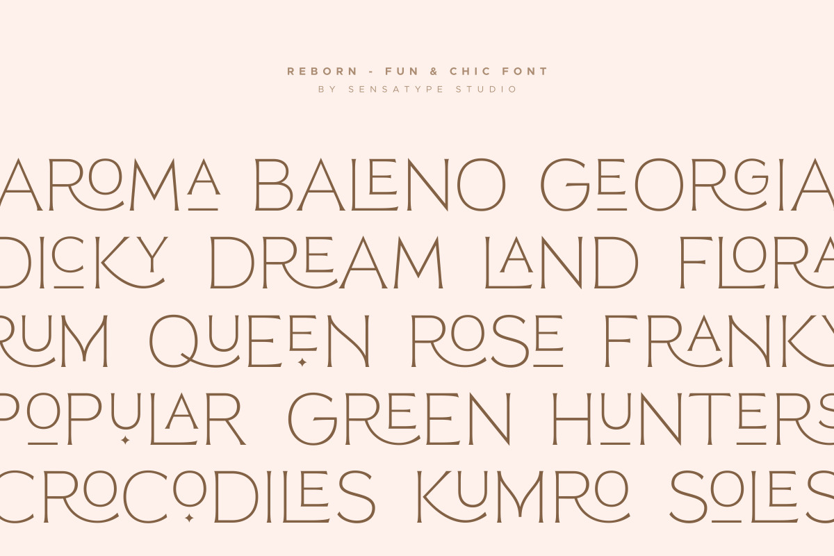 Reborn - Modern Chic Font Reborn - Modern Chic Font