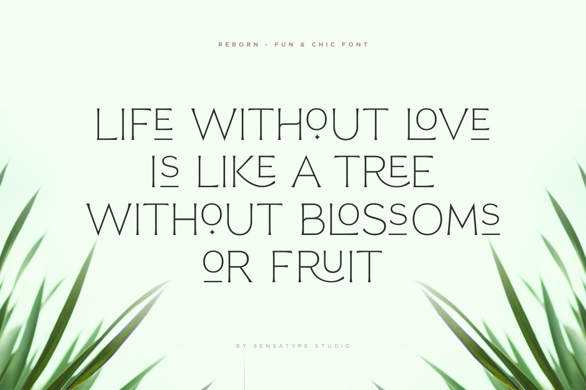 Reborn - Modern Chic Font Reborn - Modern Chic Font