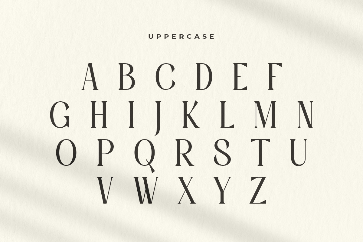 Rosemary - Modern Aesthetic Font Rosemary - Modern Aesthetic Font