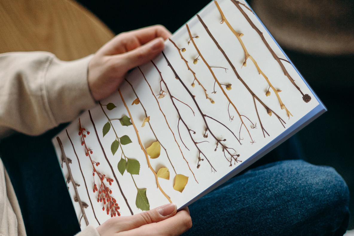 Forest herbarium Forest herbarium