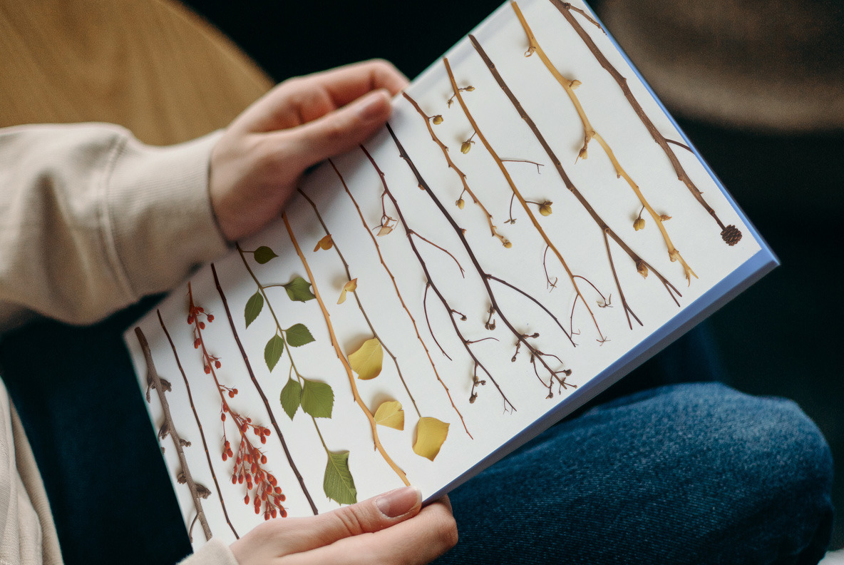 Forest herbarium