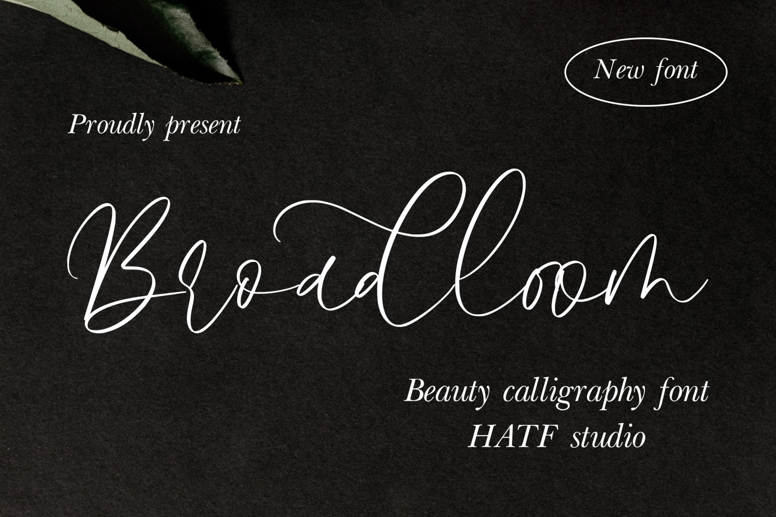Broadloom Font Broadloom Font