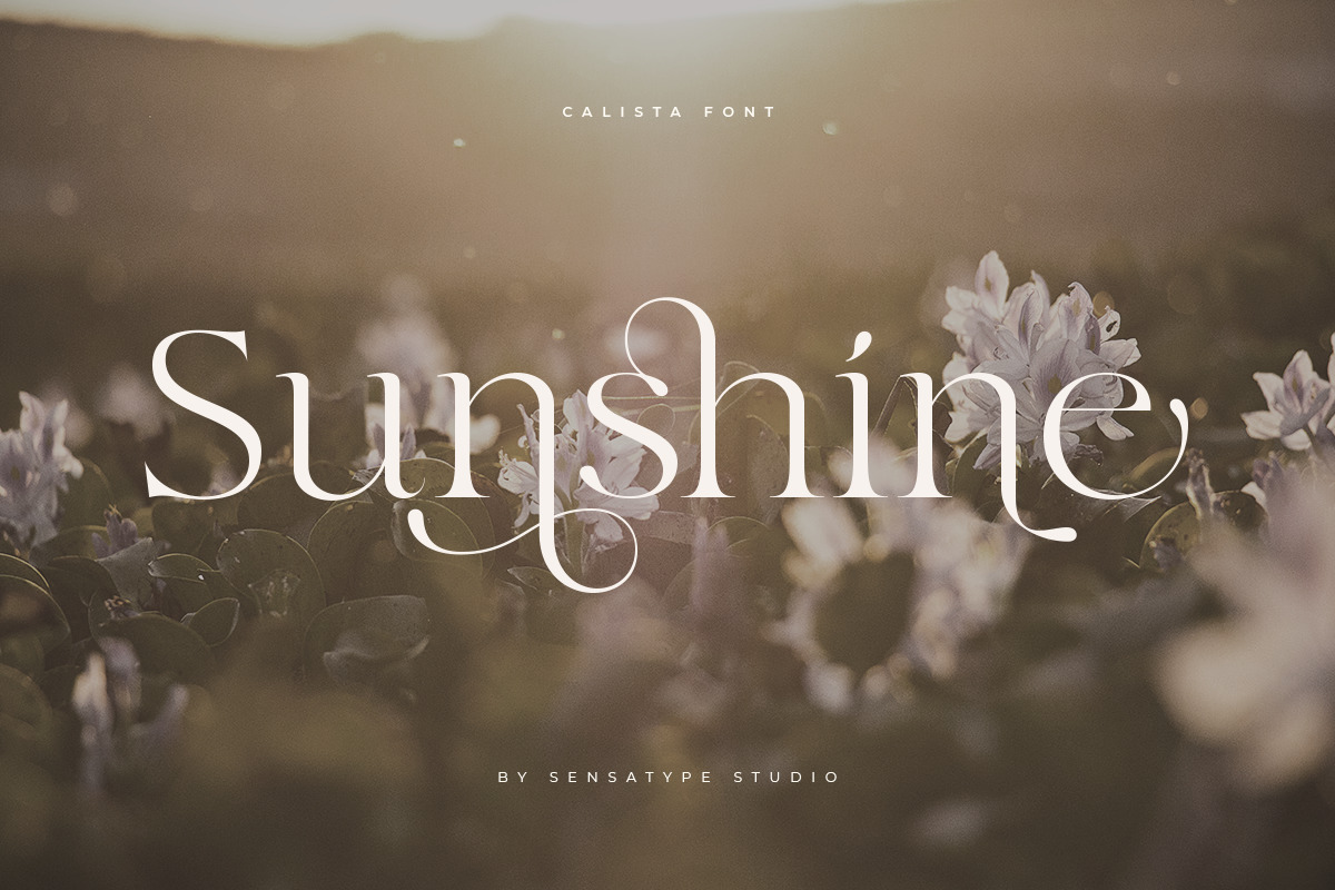 Calista - Classy Elegant Font