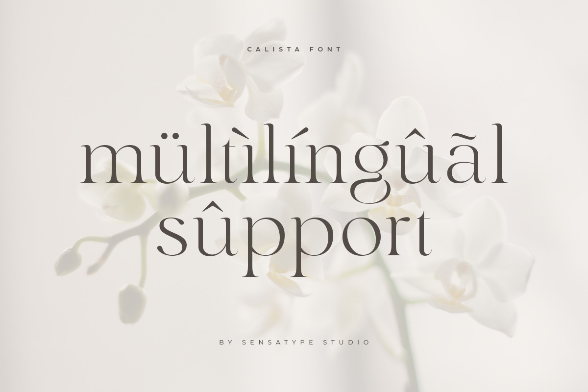 Calista - Classy Elegant Font