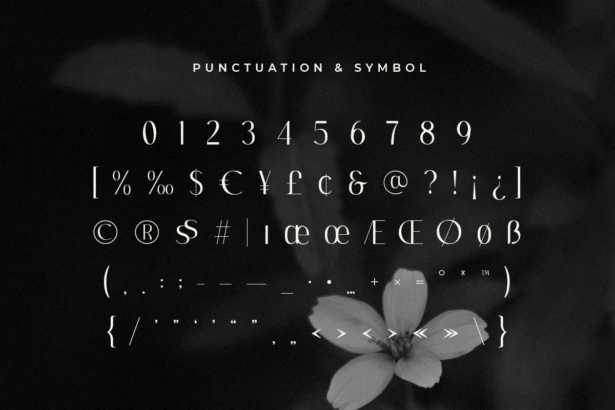 Monarch - Elegant Ligature Serif Monarch - Elegant Ligature Serif