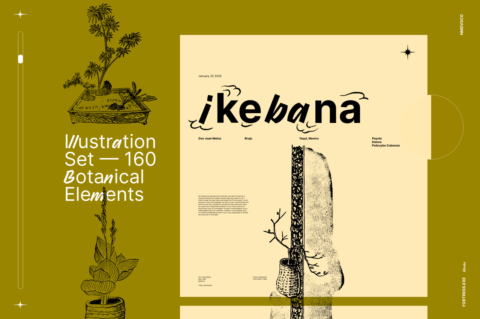 Ikebana Botanical Illustration Set Ikebana Botanical Illustration Set