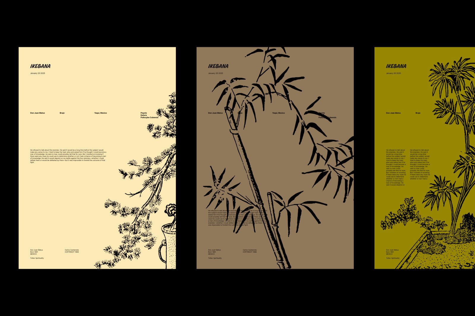 Ikebana Botanical Illustration Set Ikebana Botanical Illustration Set