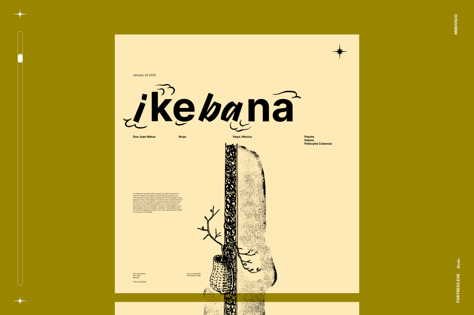 Ikebana Botanical Illustration Set Ikebana Botanical Illustration Set