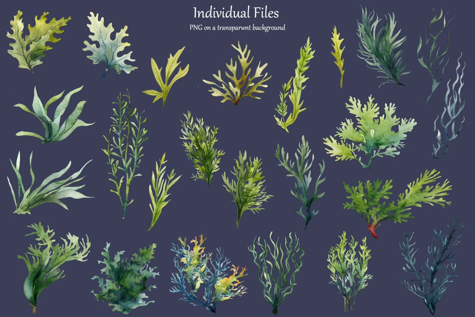 Seaweed Watercolor clipart. Coral Reef Clipart.