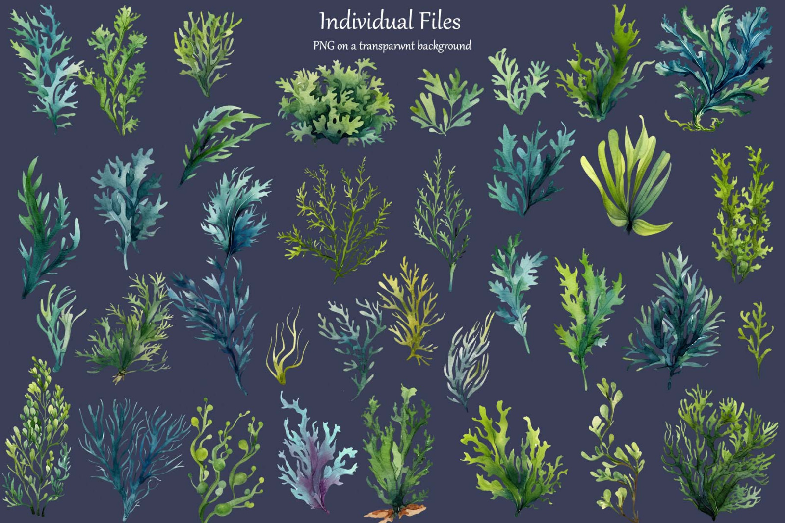 Seaweed Watercolor clipart. Coral Reef Clipart.