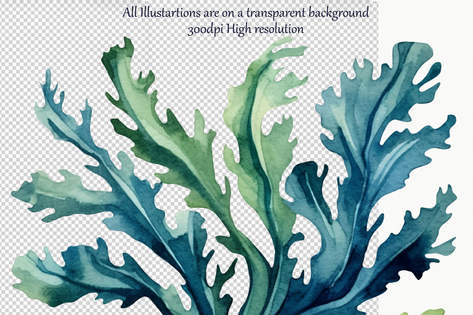 Seaweed Watercolor clipart. Coral Reef Clipart.