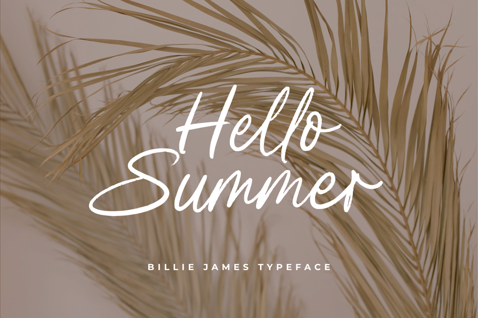 Billie James Handwriting brush script Billie James Handwriting brush script