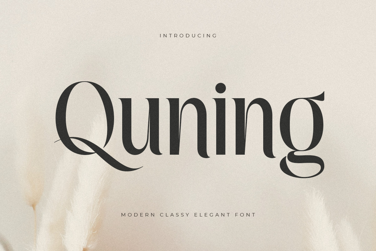 Quning - Modern Classy Elegant Font