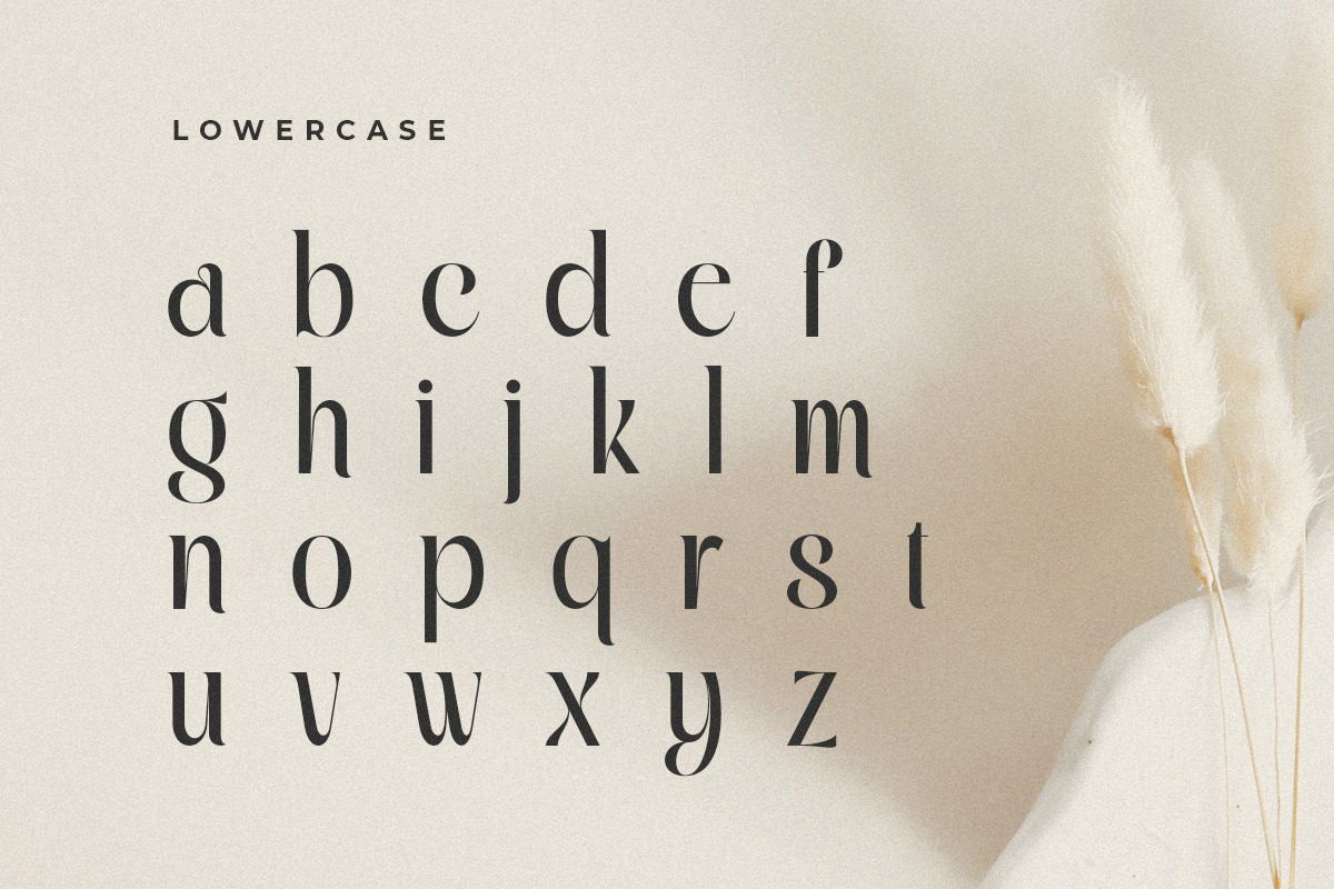 Quning - Modern Classy Elegant Font