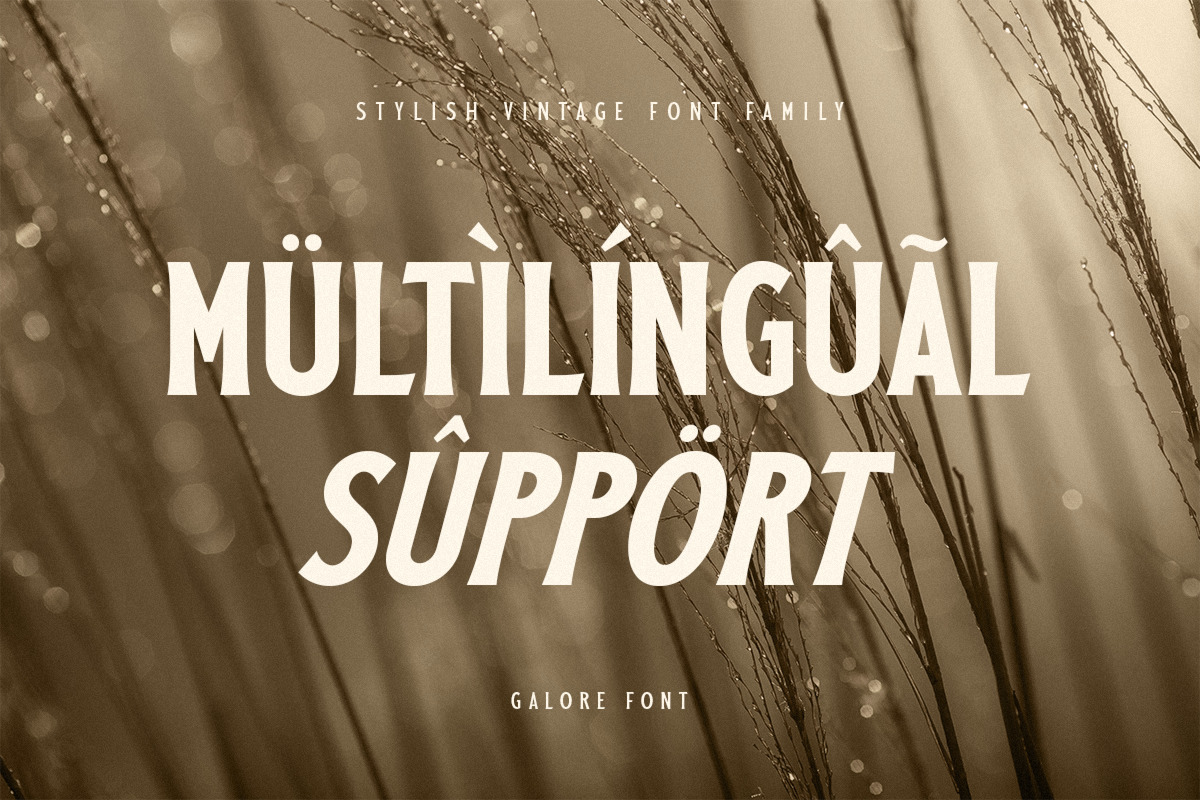 Galore - Stylish Vintage Font Family Galore - Stylish Vintage Font Family
