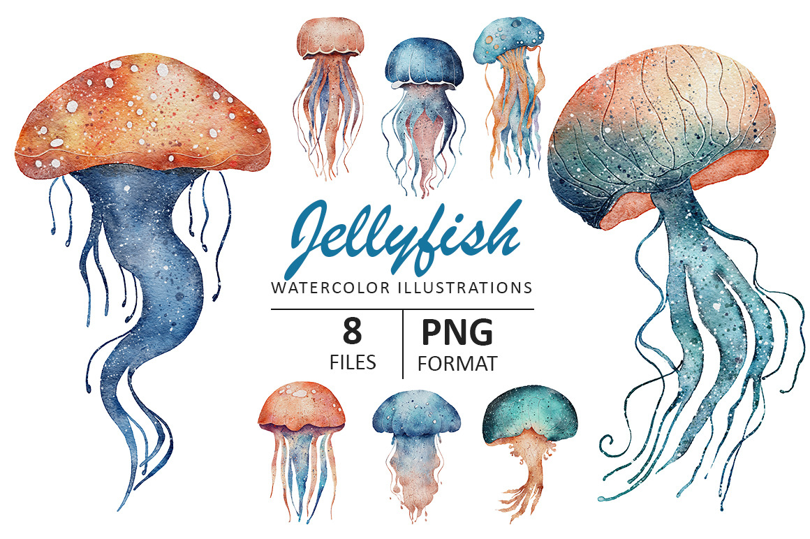 Jellyfish watercolor illustration Jellyfish watercolor illustration