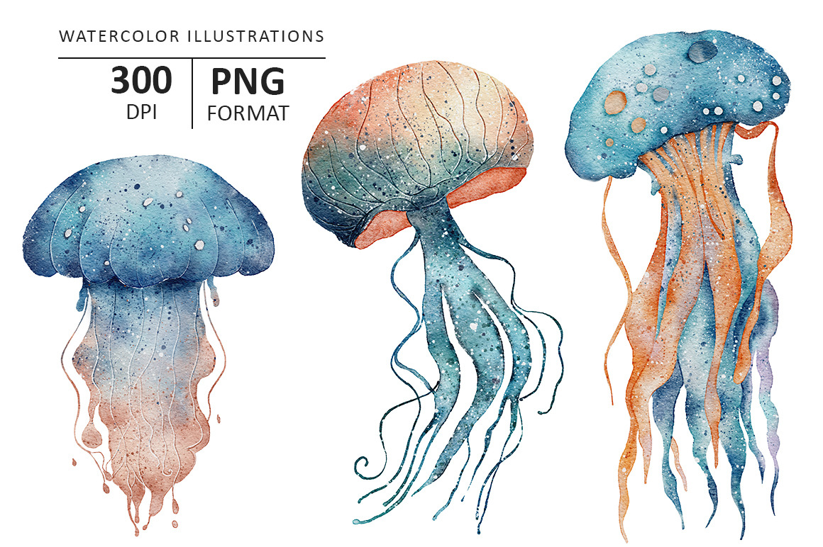 Jellyfish watercolor illustration Jellyfish watercolor illustration