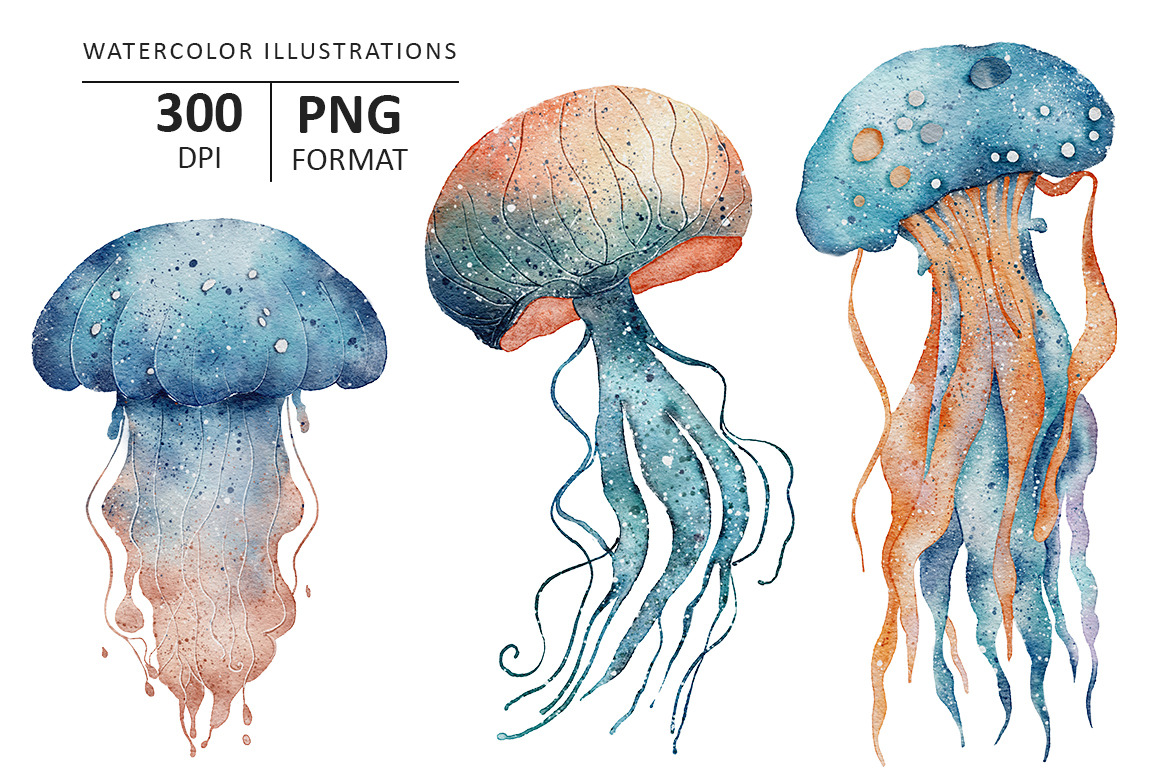 Jellyfish watercolor illustration