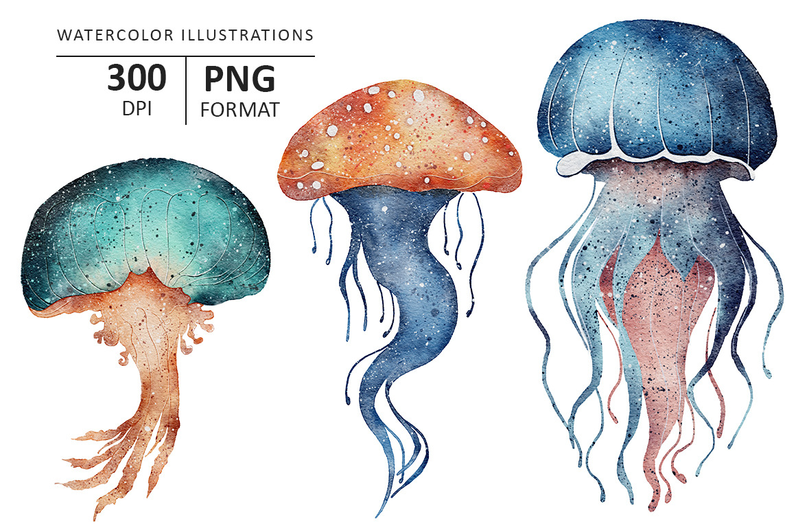 Jellyfish watercolor illustration