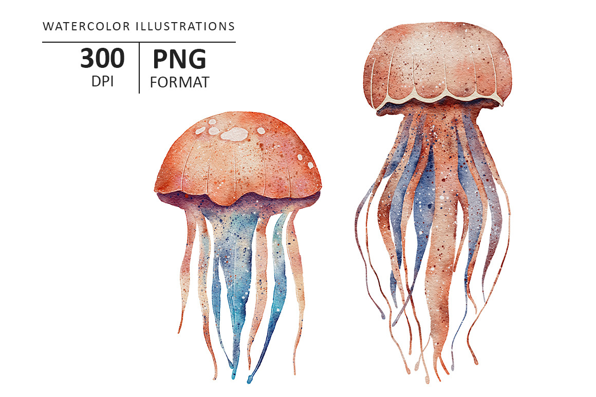 Jellyfish watercolor illustration