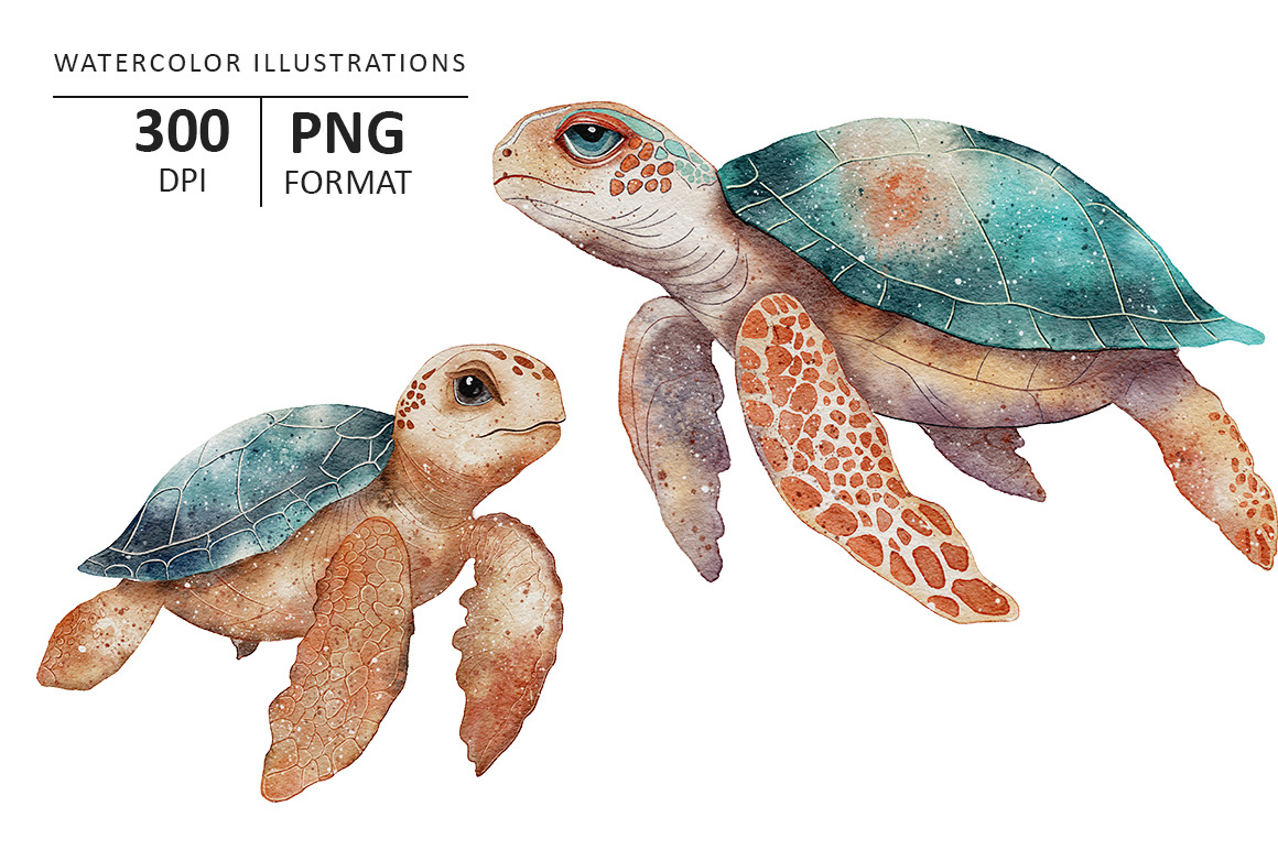 Sea Turtles watercolor illustration