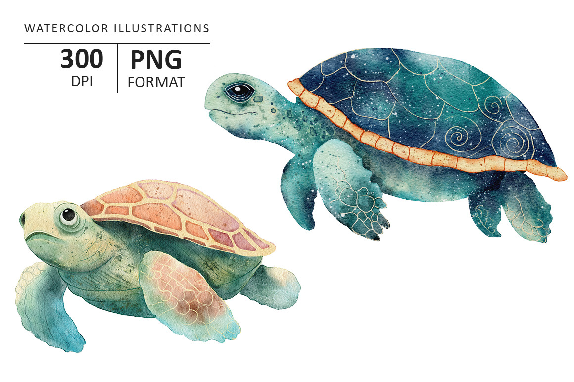 Sea Turtles watercolor illustration