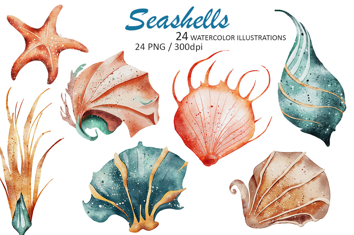 Seashells Watercolor Illustrations