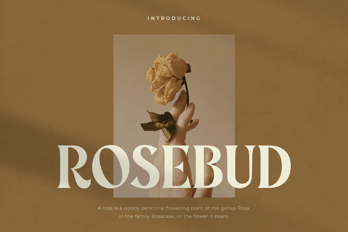 Rosebud – Display Vintage Font