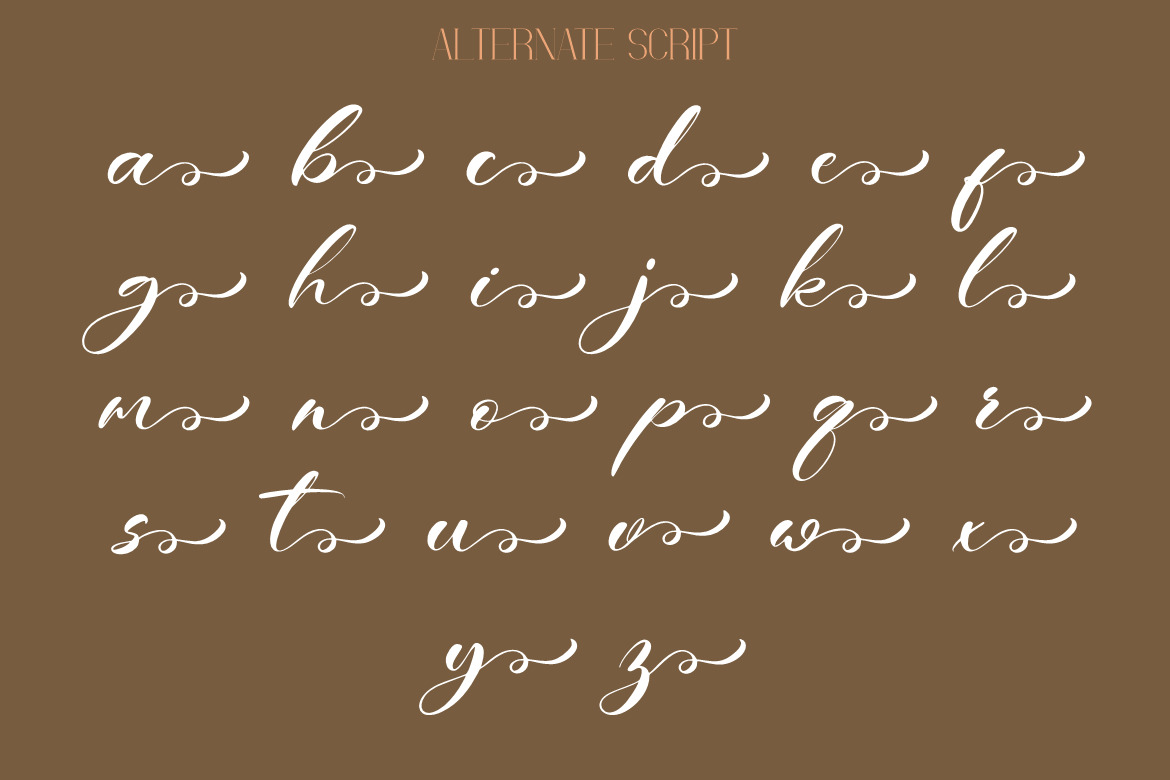 Beautifule - Script and Serif Combination