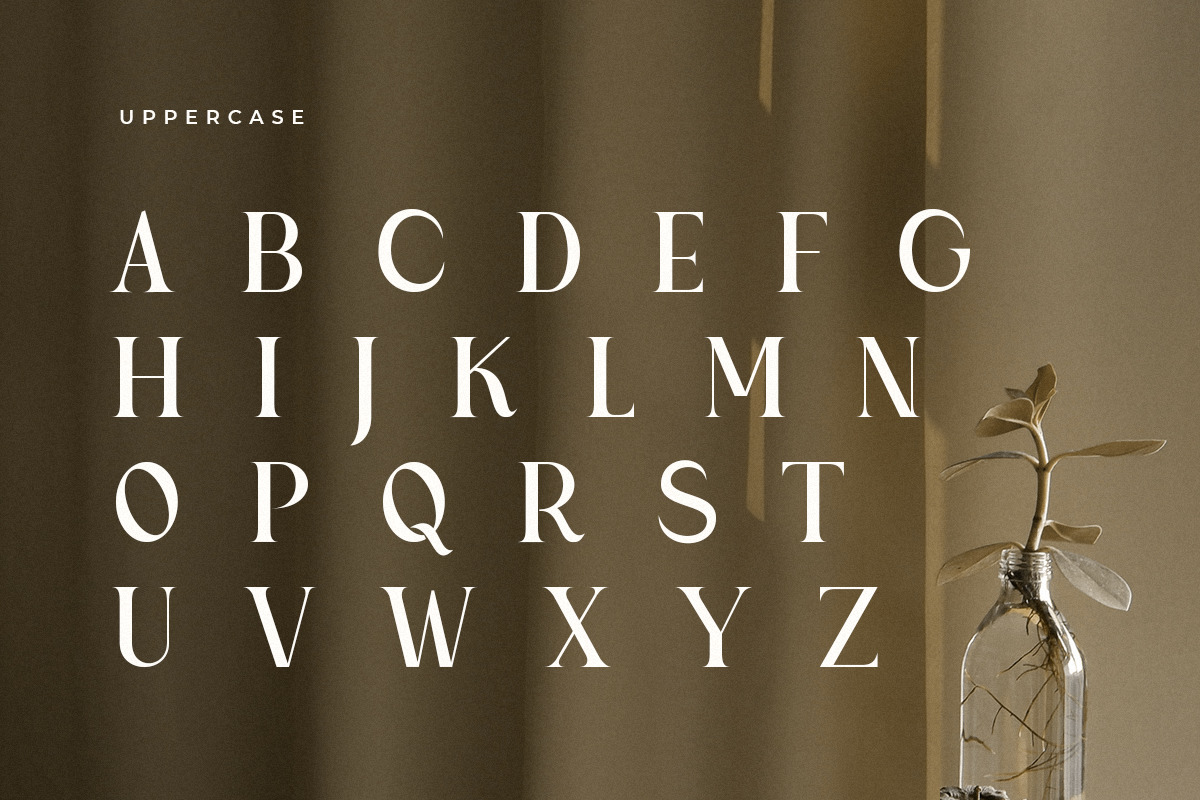 Ramole - Elegant Modern Serif Font