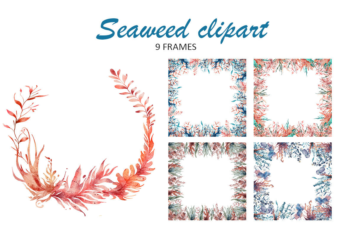 Water Plants Seaweed Clipart