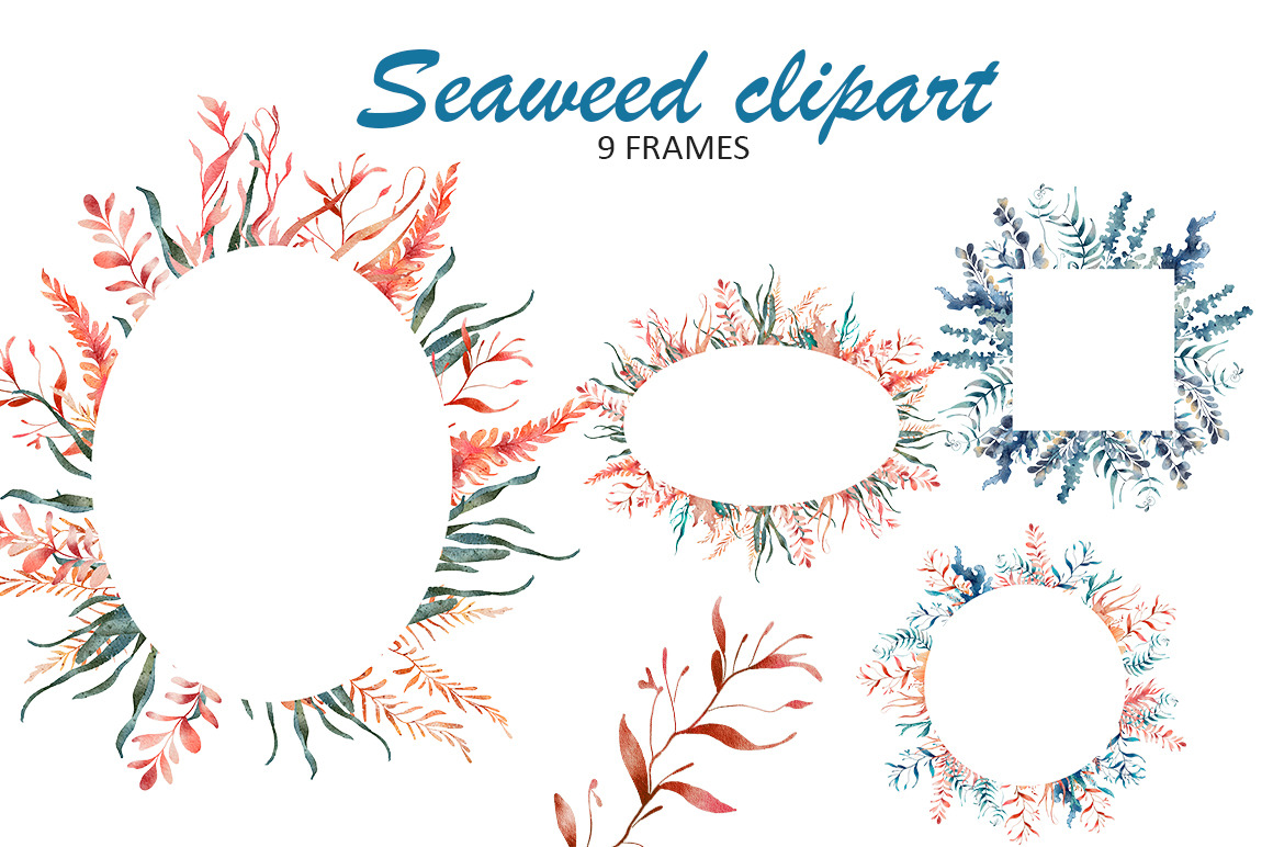 Water Plants Seaweed Clipart